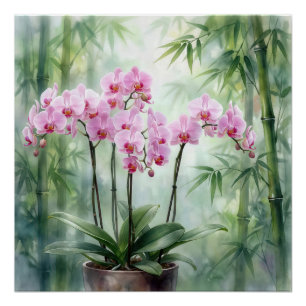 Poster Plante d'orchidée rose sur fond de bambou