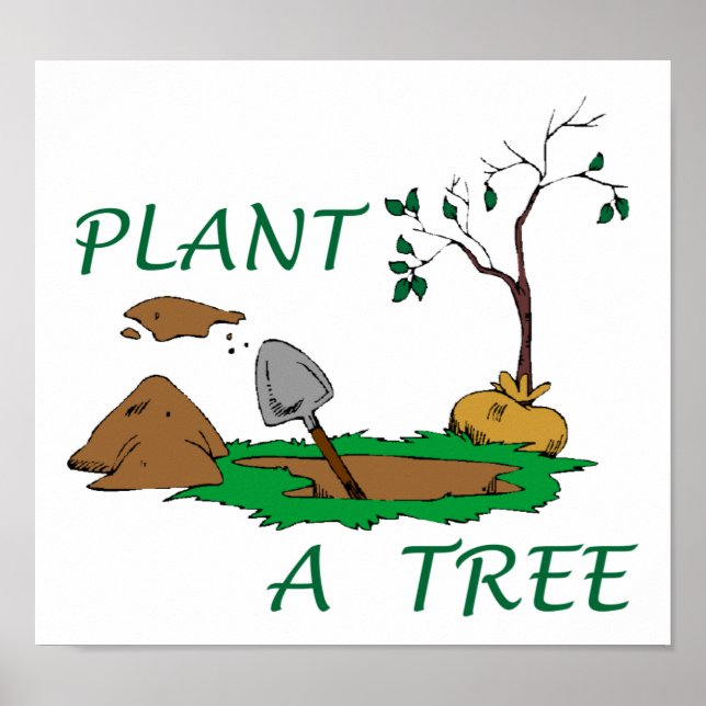Poster Plante d'un arbre (Devant)