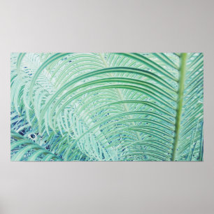 Poster Plante élégant et vert doux Palm Feuille