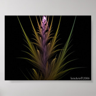 Poster plante empoisonné