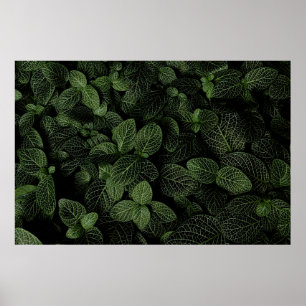 POSTER PLANTE FEUILLE VERT ET BLANC