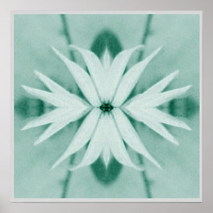 Poster Plante Imaginaire