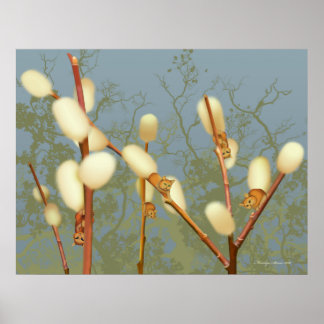 Poster Plante Imaginaire Pussy Willow