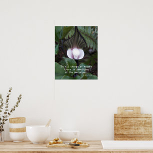 Poster Plante Jack-in-the-Pulpit Citation d'Aristote sur 