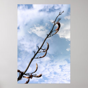 Poster plante knotweed par Japonais perrenial envahissant