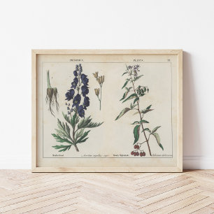 Poster Plante malheureux   Charlotte Mary Yonge