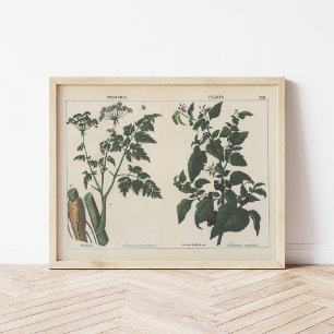 Poster Plante malheureux   Charlotte Mary Yonge
