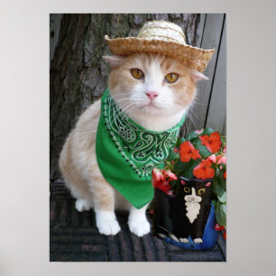 Poster Plante quelque chose