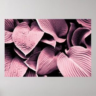 POSTER PLANTE RED LEAFED