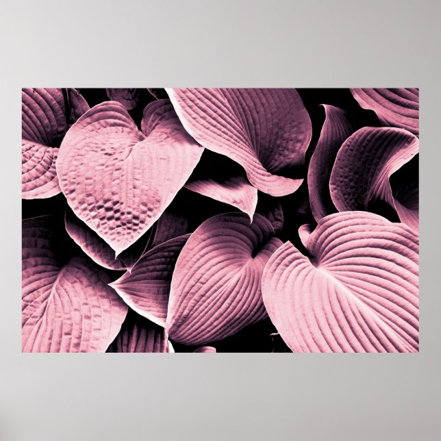 POSTER PLANTE RED LEAFED (Devant)