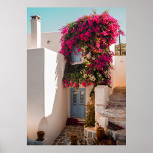 Poster Plante ROSE ET VERT SUR MUR BLANC EN BÉTON