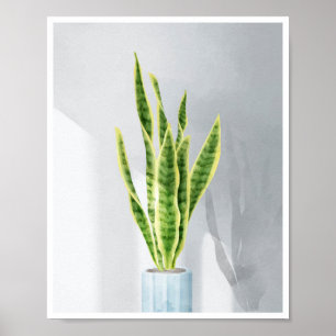 Poster Plante serpent, langue maternelle, Sansevieria