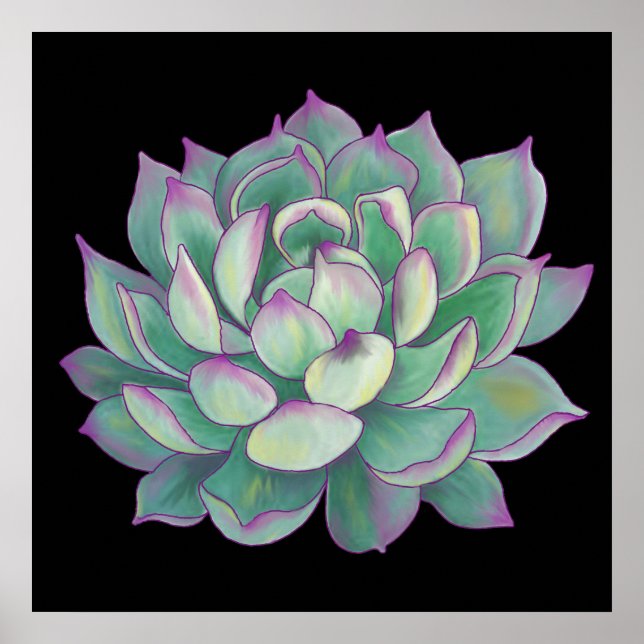 Poster Plante Succulent (Devant)