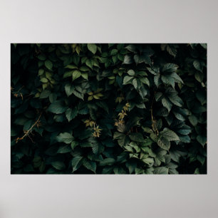 POSTER PLANTE VERT EN FEUILLE