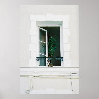 POSTER PLANTE VERT SUR FENÊTRE BLANCHE