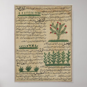 Poster Plantes botaniques, illustration de "The