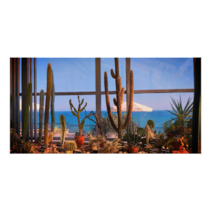 Poster Plantes de cactus et mer