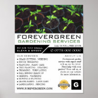 Plantes de tomates, Service de jardinage, Horticul