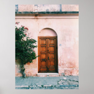 POSTER PLANTES VERTS À CÔTÉ D'UNE PORTE BROWN EN BOIS