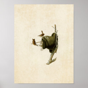 Poster Plaque 83   Maison Wren   Oiseaux d'Amérique
