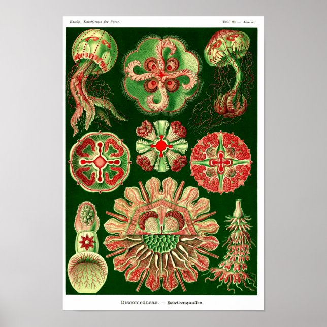 Poster Plaque 98. Mépris. (Devant)