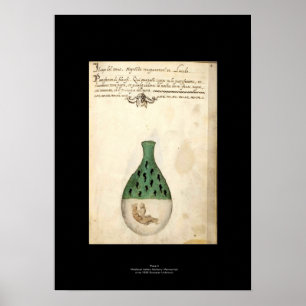 Poster Plaque d'affiche médiévale en alchimie italienne 4