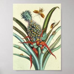 Poster Plaque de génération d'insectes 1