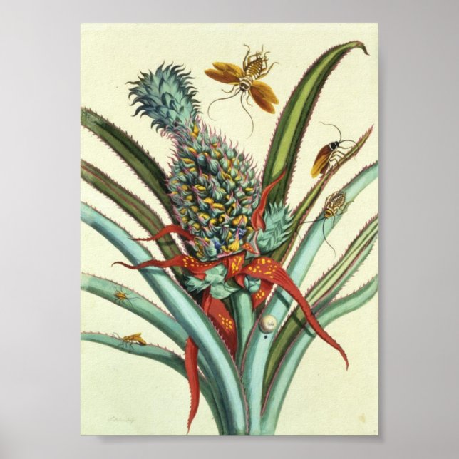 Poster Plaque de génération d'insectes 1 (Devant)