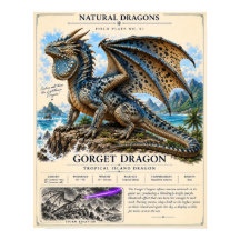 Plaque de terrain du dragon Gorget