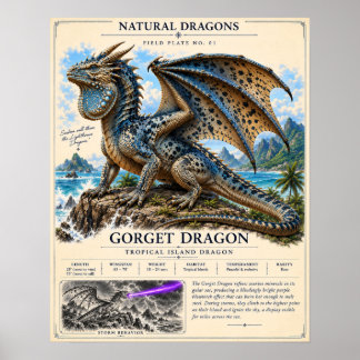 Poster Plaque de terrain du dragon Gorget