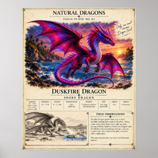 Poster Plaque de terrain Duskfire