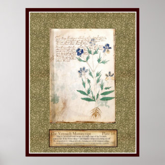 Poster Plaque Voynich 18