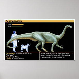 Poster Plateosaurus - Biologie Jurassique
