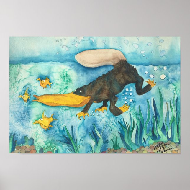 Poster "Platty" le Platypus par Mike Quinn (Devant)