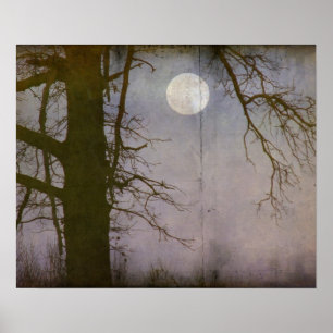 Poster Pleine lune