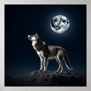 Poster Pleine lune brillant sur le loup