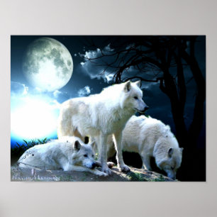 Poster Pleine lune de loup grande