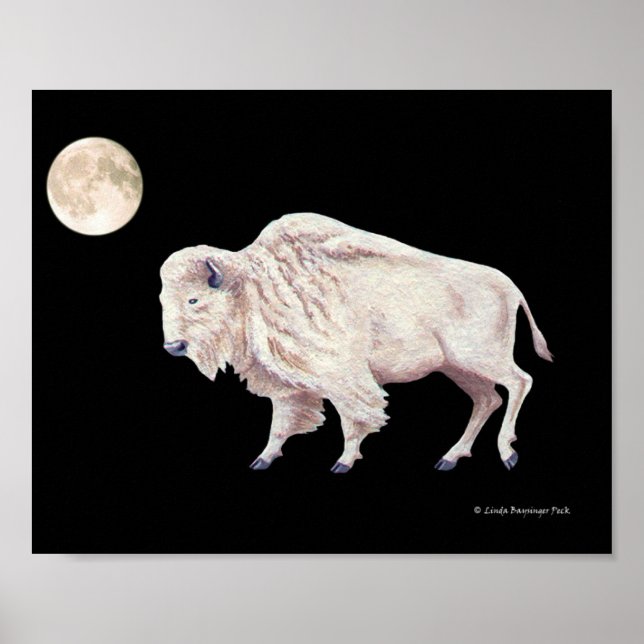 Poster Pleine lune de vache à bison blanc (Devant)