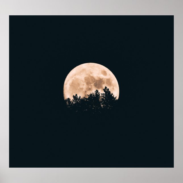 POSTER PLEINE LUNE DERRIÈRE UN ARBRE SILHOUETTES (Devant)