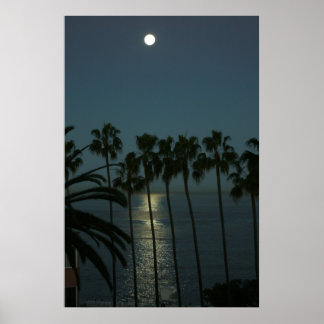 Poster Pleine lune sur l'eau