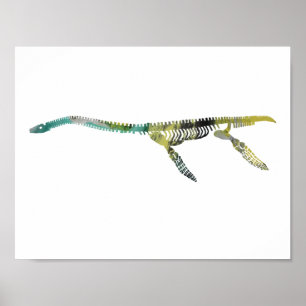 Poster plesiosaur skeleton