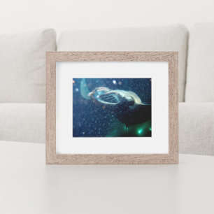 Poster Plongez avec les Manta Rays - The Big Island