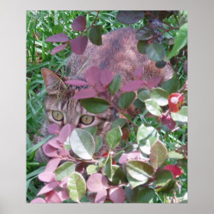 Poster Plots réflectorisés de flamme