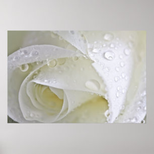 Poster Pluie cristalline