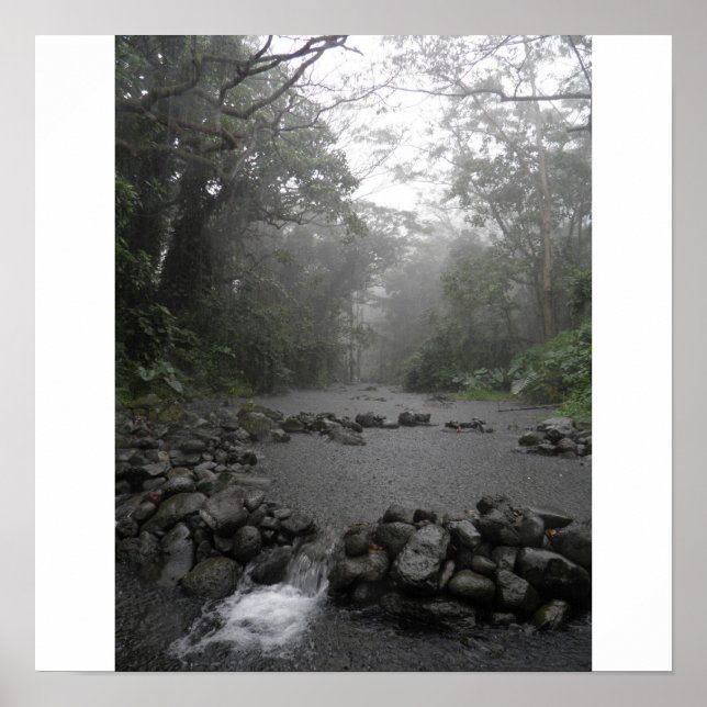 Poster Pluie d'Hawaii (Devant)