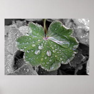 Poster pluie lourde