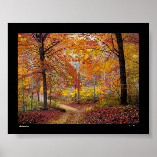 Poster Pluie molle d'automne