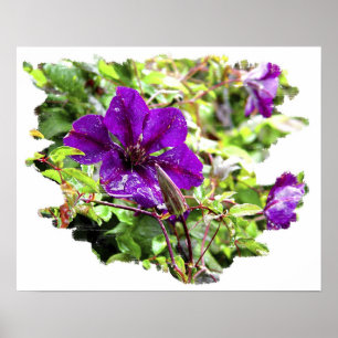 Poster Pluie violette