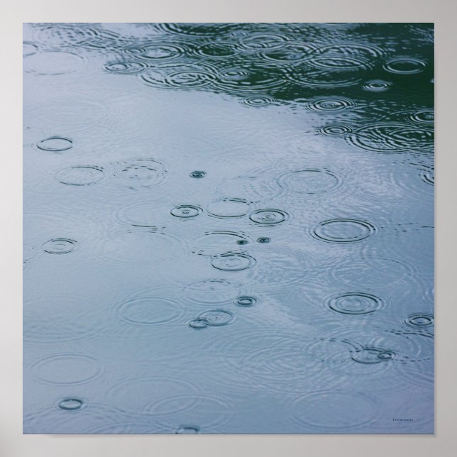 Poster Pluies et ondulations d'eau (Devant)