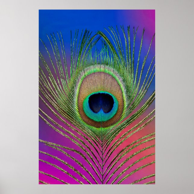Poster Plume de queue d'un paon (Devant)